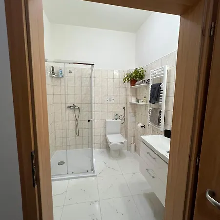 Apartment Nerudova