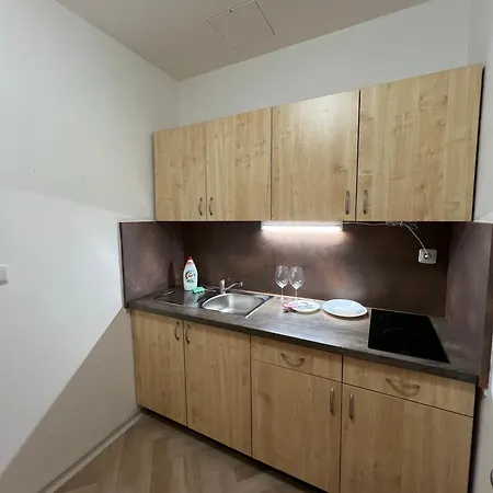 Apartment Nerudova