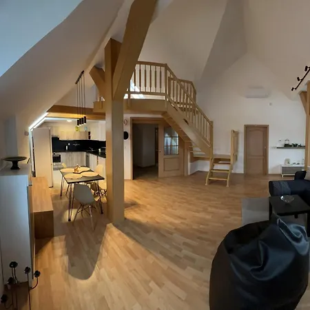 Apartment Nerudova Ostrava