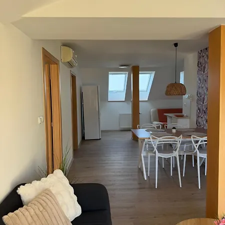 Apartment Nerudova Ostrava