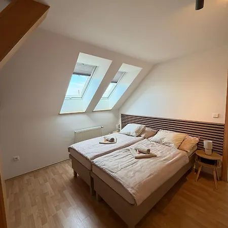 Apartment Nerudova Ostrava